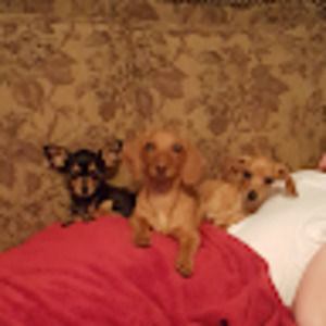 Meet your Posher, Deborah